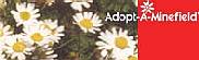 we support Adopt-A-Minefield (Heather Mills & Paul Mc Cartney)