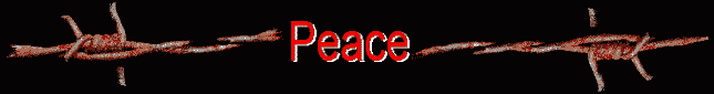 A SONG FOR PEACE - INTERNATIONAL SONG CONTEST - SMT ROME 1999-2000